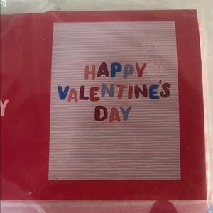 Valentine's Day Garden Flag- Multicolor